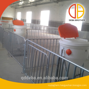 finisher pigs design pig farm equipments for fatten pigs
